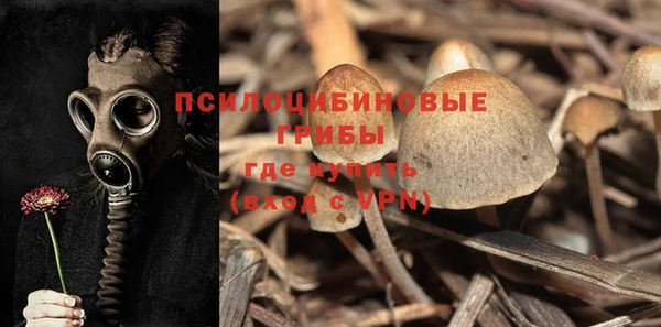 стаф Балабаново